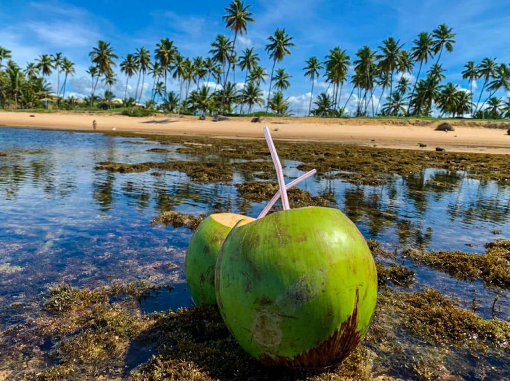 Pousada Du’Forte Praia do Forte Bagian luar foto